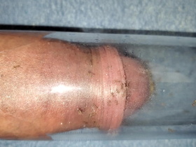 Ants Bite Cock
